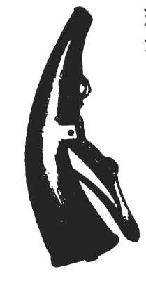 13.JPG (7196 Byte)