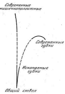 21.png (617856 Byte)